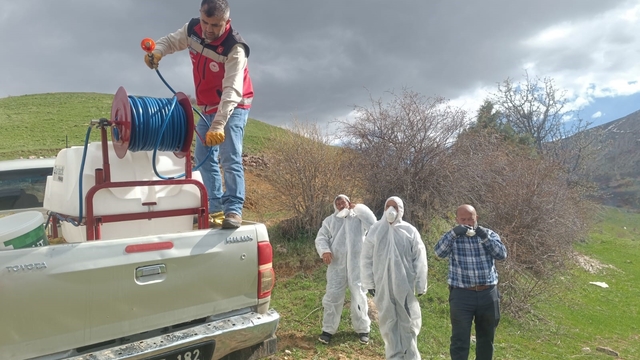 Gümüşhane'de çekirge istilasına uğrayan köyde ilaçlama çalışması başlatıldı