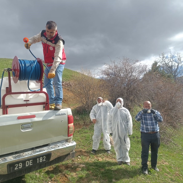 Gümüşhane'de çekirge istilasına uğrayan köyde ilaçlama çalışması başlatıldı