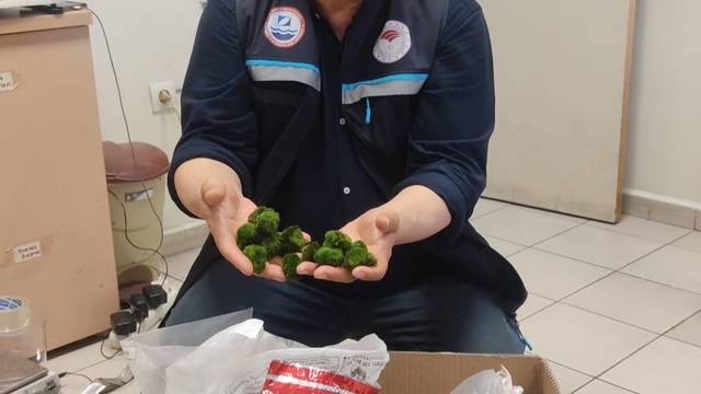 Kapıkule'de yolcu otobüsünde 2 bin 125 canlı yeşil alg ele geçirildi