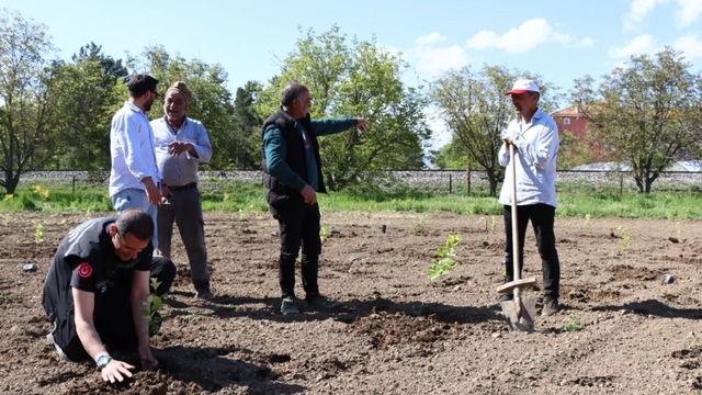 Bahçe Kültürleri Araştırma Enstitüsünden aronya çalışması