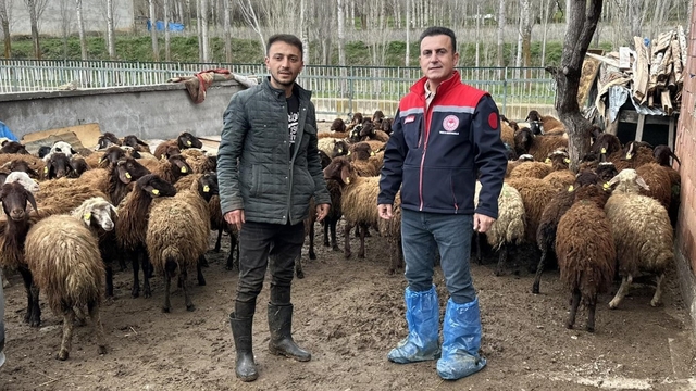 Aydıntepe'de kırsal üretimi destekleyen projede kontroller sürüyor