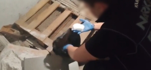 Kars'ta iş yerindeki 205 gram uyuşturucuyu "Zeus" buldu