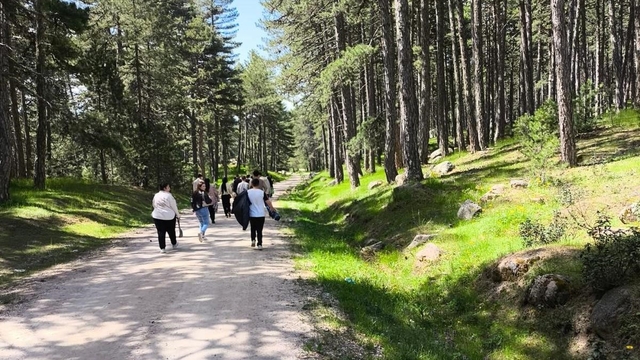 Hisarcık'ta özel öğrencilerinde katıldığı doğa yürüyüşü