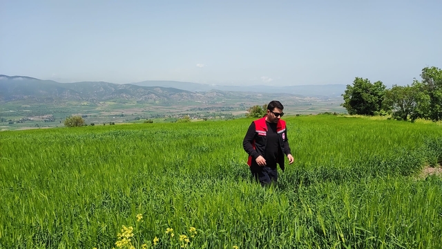 Göynücek'te referans parsel ve ürün doğrulama çalışmaları tamamlandı