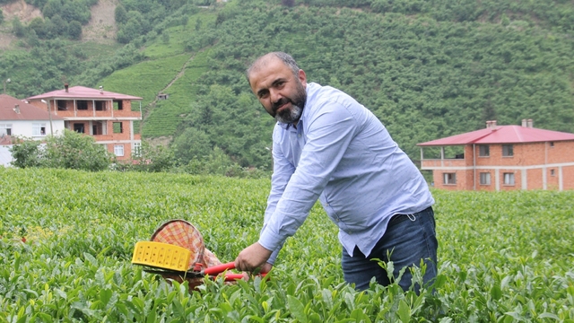 Çay üreticileri yaş çay alım fiyatındaki artış sonrası kuru çaya da zam bekliyor