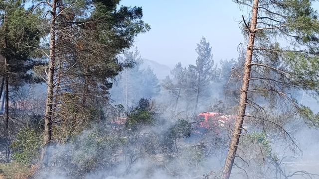 Hatay'da orman yangını
