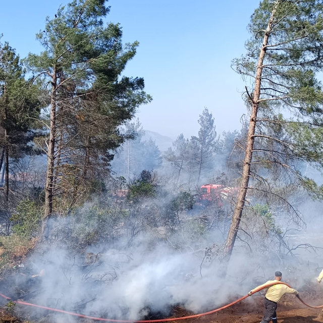 Hatay'da orman yangını