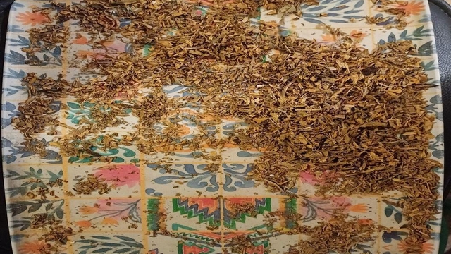 Galeri
