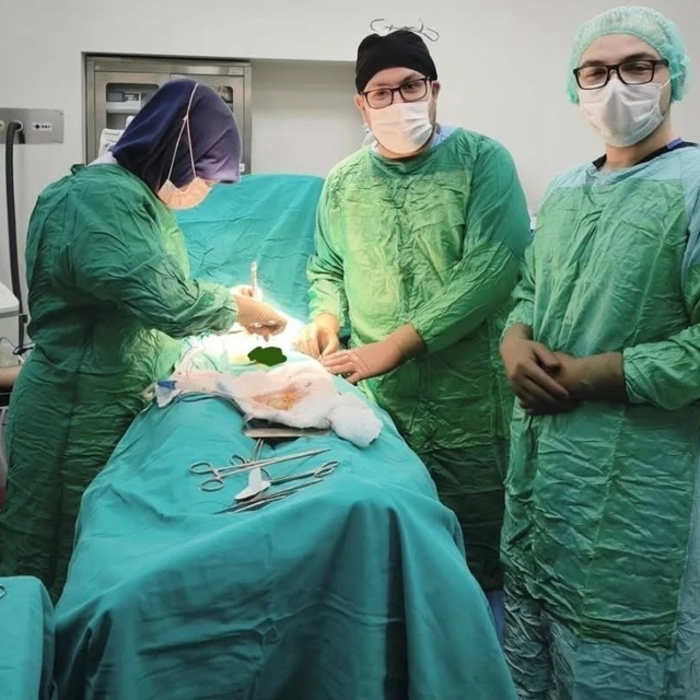 Bayburt'ta iki hastanın mesanesinden 27 taş çıkarıldı