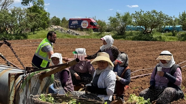 Tarım işçilerine serinleten ikram
Büyükşehir mobil ikram filosu rotasını tarlalara çevirdi