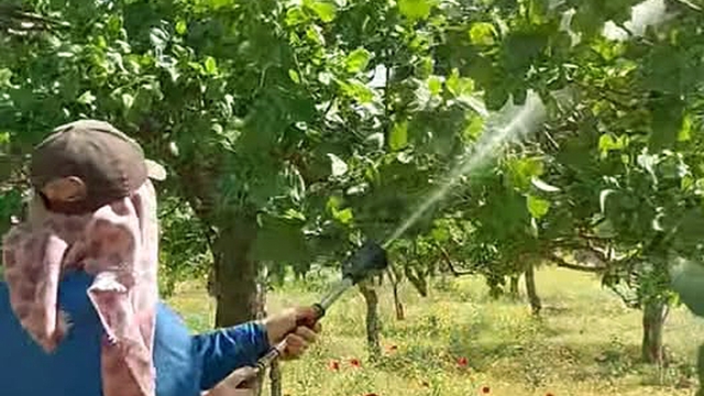 Araban'da Antepfıstığı üreticileri hastalıklar ve zararlılarla mücadele başlattı