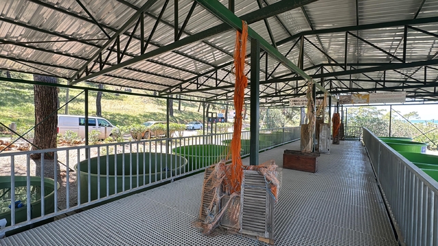 Galeri