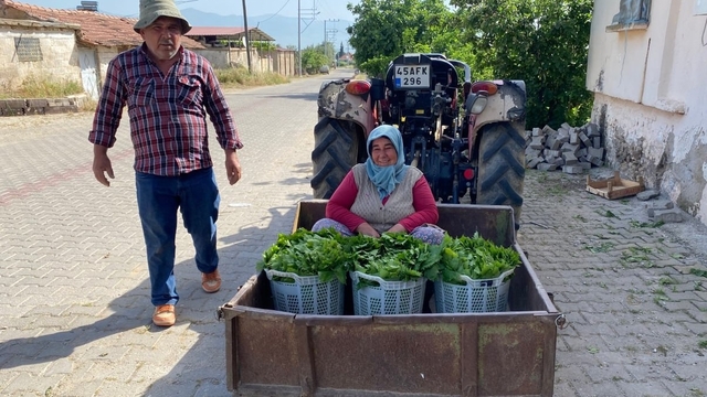 Üzümden önce yaprak kazandırdı
Alaşehir'in coğrafi işaretli lezzeti asma yaprağı yoğun talep görüyor