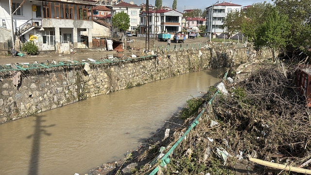 Galeri