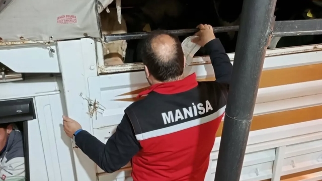 Salihli'de kurbanlık nakli yapan araçlara sıkı denetim