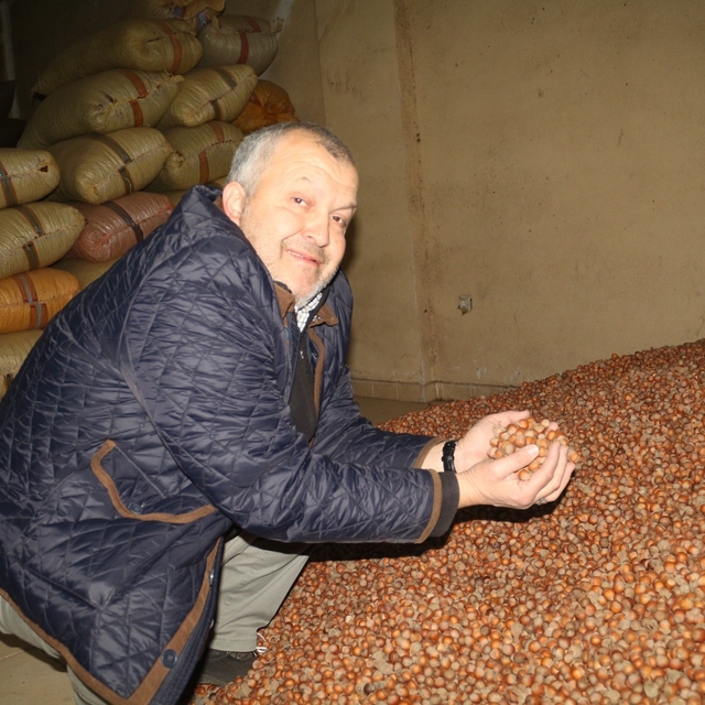 Kurban Bayramı öncesi fındık fiyatları geriledi
Giresunlu fındık tüccarı Ha...