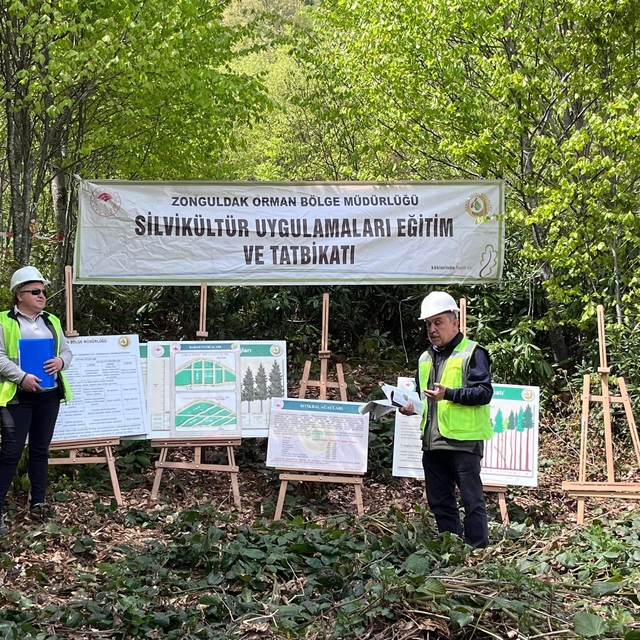 Silvikültür eğitim tatbikatı Yenice'de tamamlandı