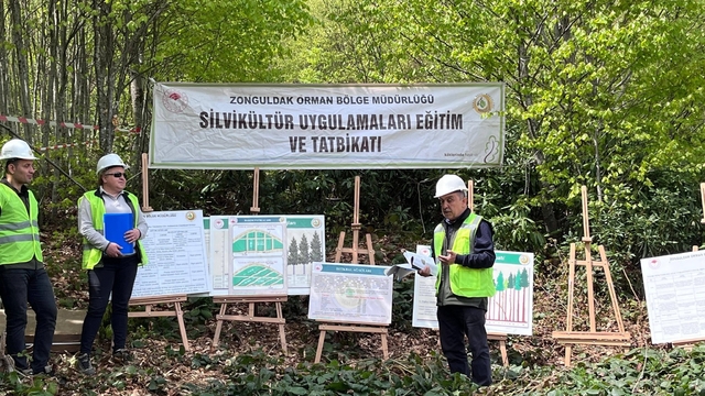 Silvikültür eğitim tatbikatı Yenice'de tamamlandı