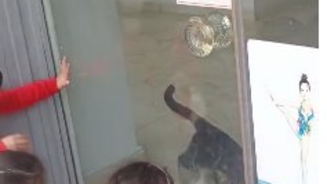 Kedi, öğrencilerin duyduğu miyavlama sesi sayesinde kurtarıldı