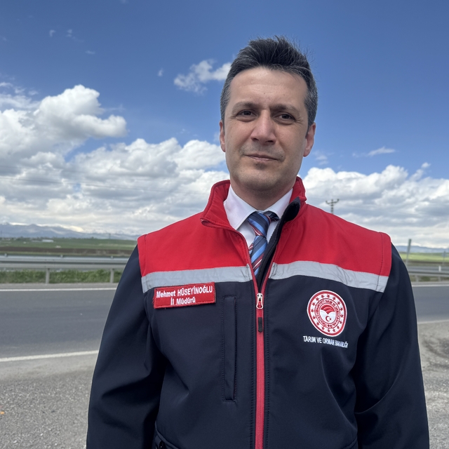 Hayvancılığın merkezlerinden Ağrı'da batı illerine kurbanlık sevkiyatı sürü...