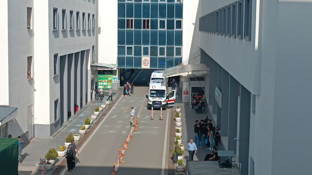 Galeri