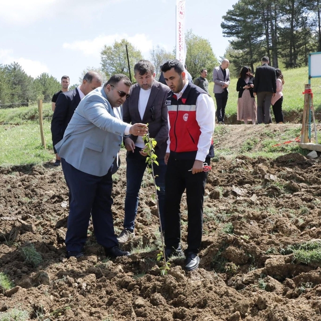 Pazarlar'da atıl durumdaki hazine arazisi tarıma kazandırıldı