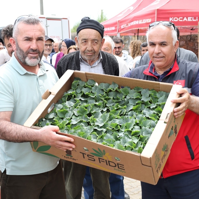 Gebzeli çiftçiye 500 bin sebze fidesi desteği
Kocaeli'de 290 milyon liralık...