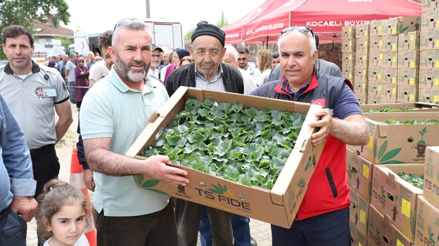 Gebzeli çiftçiye 500 bin sebze fidesi desteği
Kocaeli'de 290 milyon liralık tarımsal üretim desteği verildi
