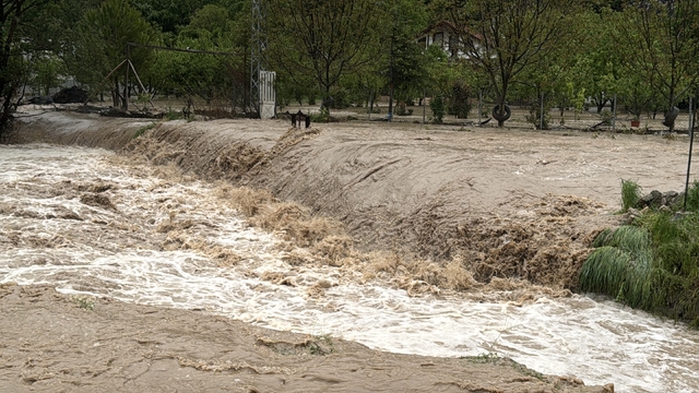 Tokat'ta derenin taşması sonucu ev ve arazileri su bastı