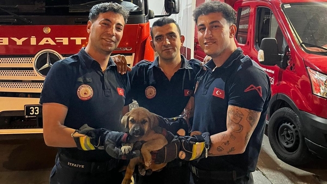 Otomobilin motoruna sıkışan yavru köpeği itfaiye kurtardı