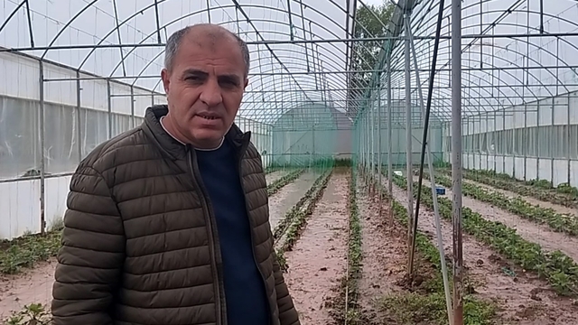 Sivas'ta dere taştı: Sera ve bahçeler sular altında kaldı