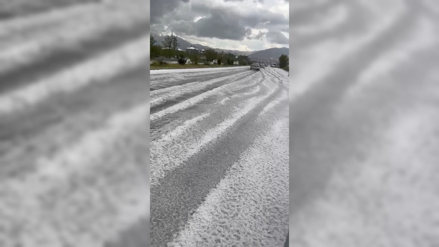 Galeri