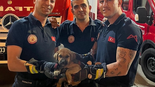 Mersin'de otomobilin motor kısmına sıkışan köpek yavrusunu itfaiye kurtardı