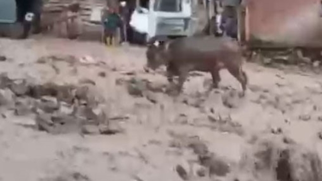 Şebinkarahisar'da şiddetli yağış
Merada otlayan hayvanlar sel sularına kapılmaktan son anda kurtarıldı