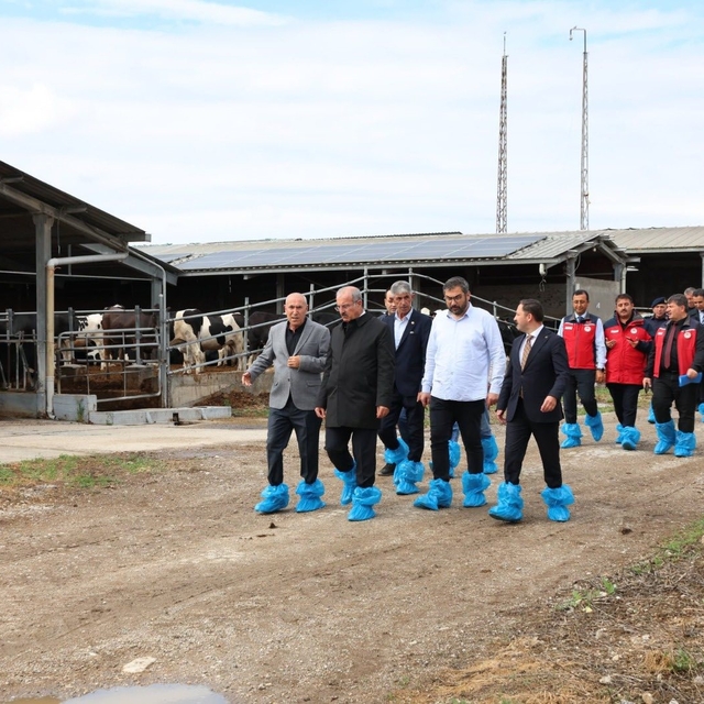 Kurban Bayramı öncesi hayvancılık işletmelerinde inceleme