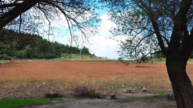 Galeri