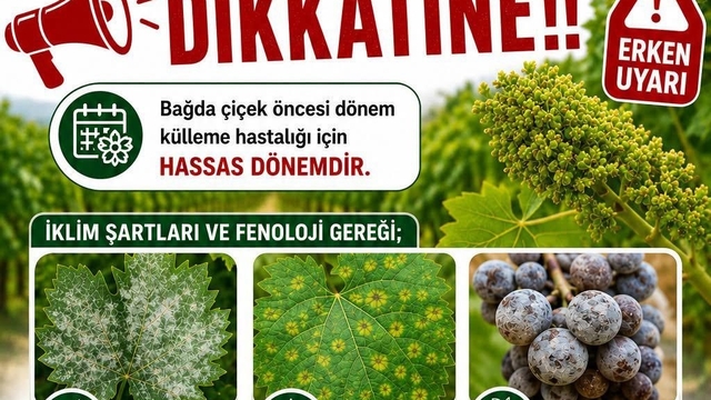 Bağlarda üreticilere ilaçlama uyarısı
