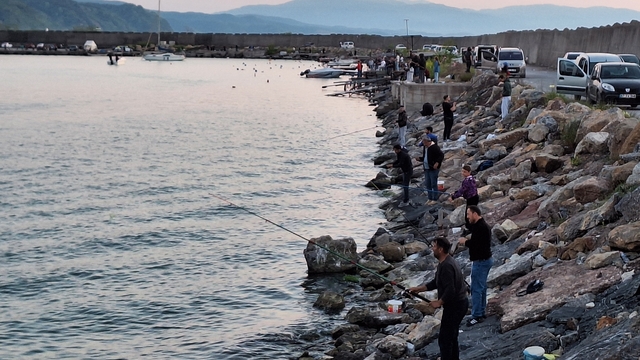 Zonguldak'ta olta balıkçıları bol miktarda istavrit avladı