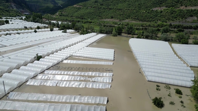 Amasya'da Yeşilırmak Nehri taştı, tarım arazileri sular altında kaldı