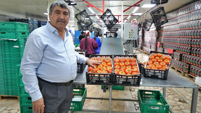 Domateste üretim planlaması fiyat dengesinin anahtarı
Üretici domates bir önceki yıl hangi ayda para etmişse o aya odaklanıyor
Domateste arz azaldı, üretim planlaması yeniden gündeme geldi
Bu yıl domates yılbaşından sonra iyi para etti,  80-100 TL bandında istikrarlı bir şekilde gitti
