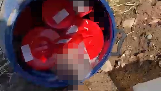 Plastik kutularda 21 cenin bulundu