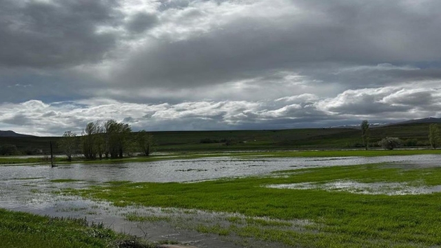 Erzincan'da aşırı yağış, ekili arazileri vurdu