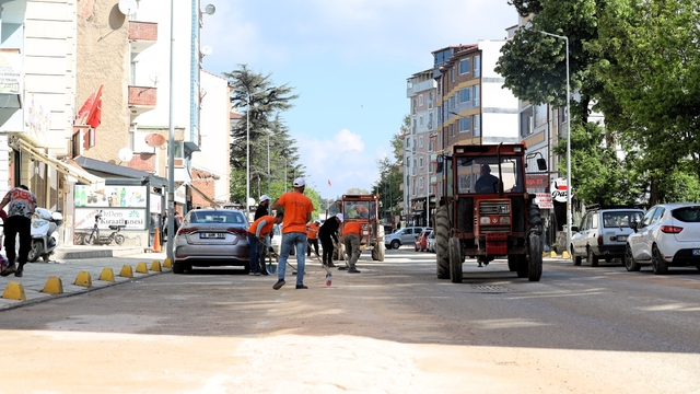 Bilecik'te çim biçme ve ilaçlama çalışmaları hız kazandı