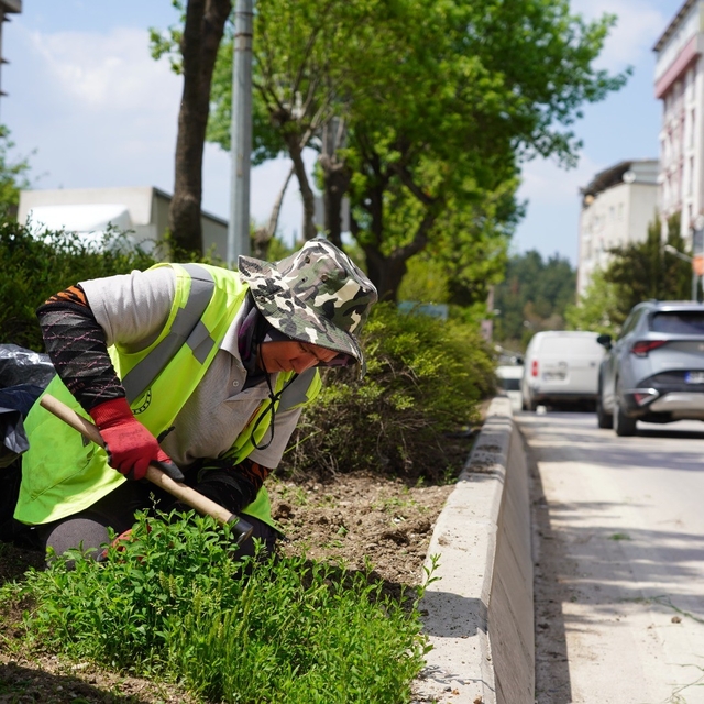 Bilecik'te park ve bahçeler müdürlüğünden yaza hazırlık çalışmaları