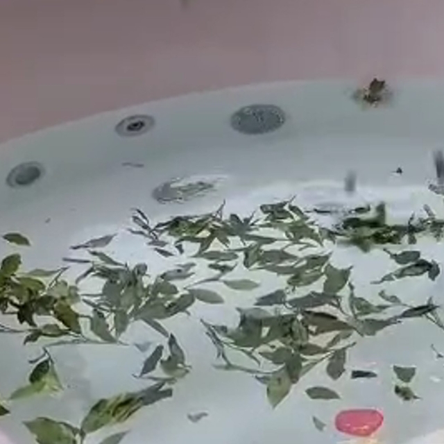 Bu da Rizelilerin jakuzisi 'Çaykuzi'