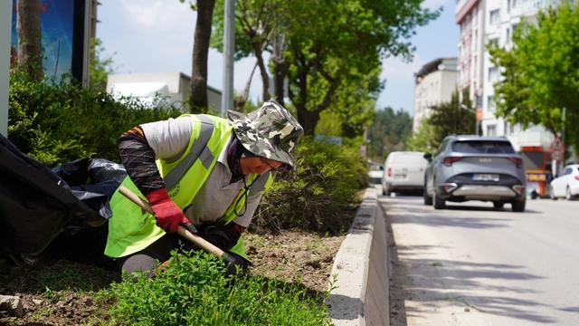 Bilecik'te park ve bahçeler müdürlüğünden yaza hazırlık çalışmaları