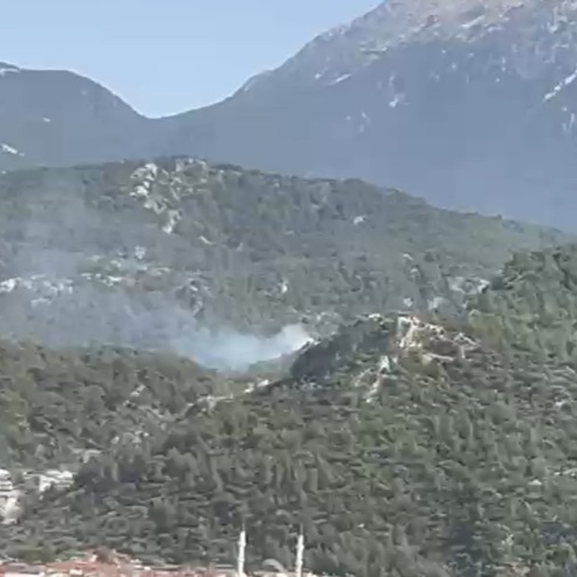Fethiye'de orman yangını