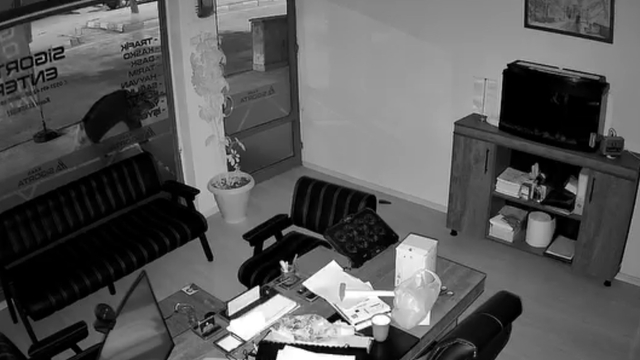 İş yeri önündeki saksıdaki çiçekleri söküp alıp gitti