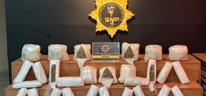 Şanlıurfa'da 20 kilo skunk ele geçirildi