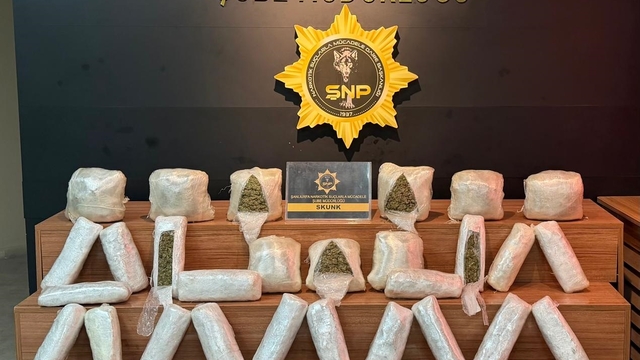 Şanlıurfa'da 20 kilo skunk ele geçirildi
